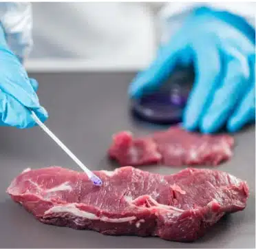 Imported Meat Inspection Services In Chicago, IL | B & B Food Services