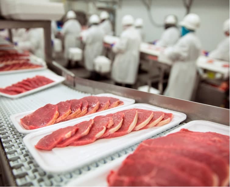 USDA Meat Inspection Services In Chicago, IL | B & B Food Services