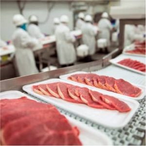 USDA Meat Inspection Services In Chicago, IL | B & B Food Services